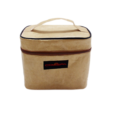 Les sacs réutilisables imperméables de déjeuner de nouvelle conception avec le logo fait sur commande Coolor portent la gamelle