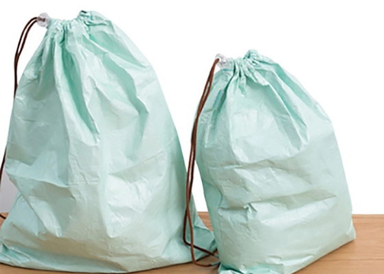 Chine Sacs de cordon se pliants réutilisables écologiques de papier de Tyvek de sacs à provisions usine