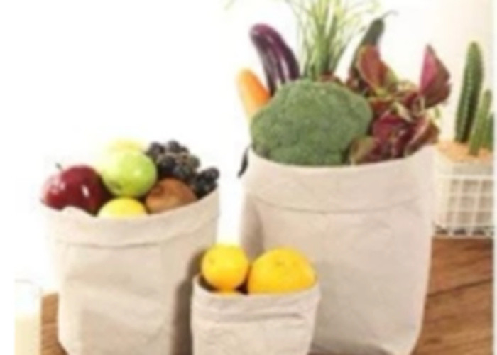 Multifonctionnel beaucoup sac à stockage de papier de nourriture de sacs de stockage de papier d'emballage de style fournisseur