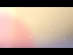 l'ordinateur portable portent le sac